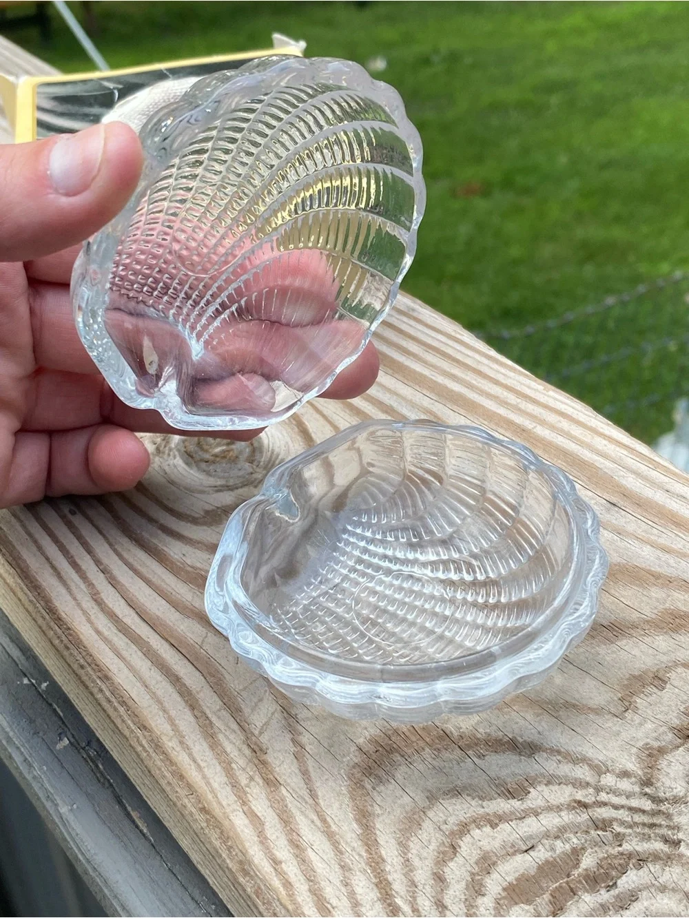 Clear Glass Shell Trinket Box - Decorative Sea Shell